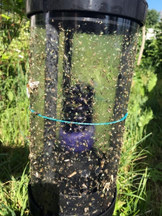 Ловушка насекомых «MK200UNI» Ловушка насекомых «MK200UNI»